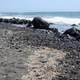 Image for article titled Floating rocks were the first cradles of life